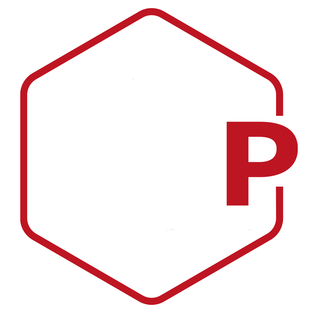 Rolf.Pieper.li Logo